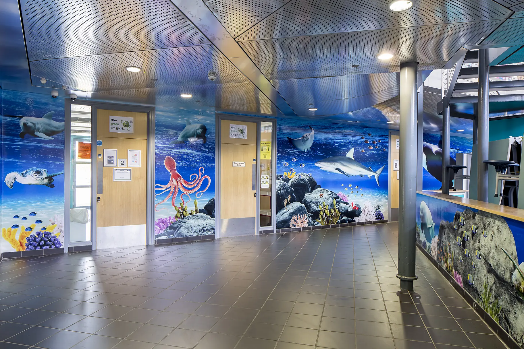 Torquay Academy immersive underwater theme atrium wall art